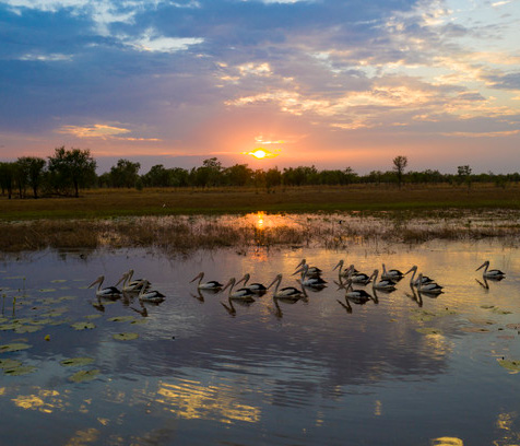 Mutton Hole Wetlands
